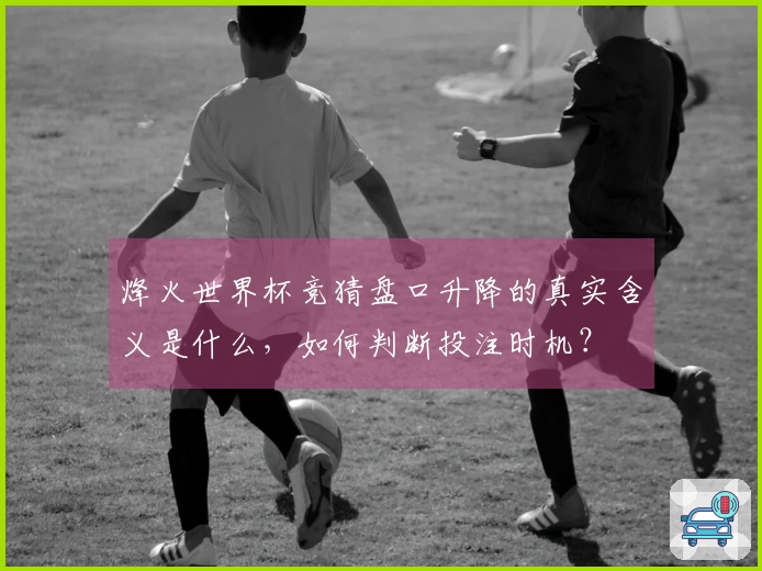 烽火世界杯竞猜盘口升降的真实含义是什么，如何判断投注时机？