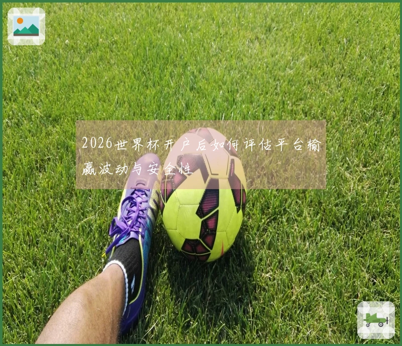 2026世界杯开户后如何评估平台输赢波动与安全性