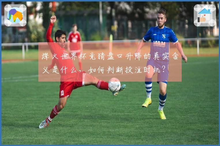 烽火世界杯竞猜盘口升降的真实含义是什么，如何判断投注时机？