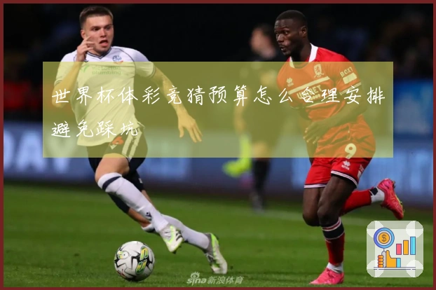 世界杯体彩竞猜预算怎么合理安排避免踩坑