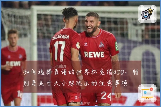 如何选择靠谱的世界杯竞猜app，特别是关于大小球玩法的注意事项